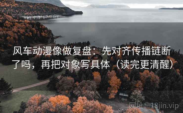 风车动漫像做复盘：先对齐传播链断了吗，再把对象写具体（读完更清醒）